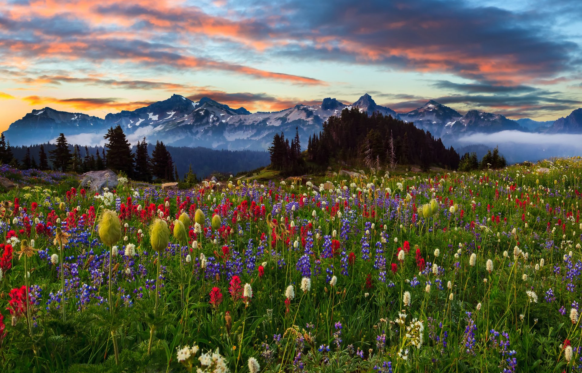 natur himmel wolken berge blumen landschaft sonnenuntergang bäume