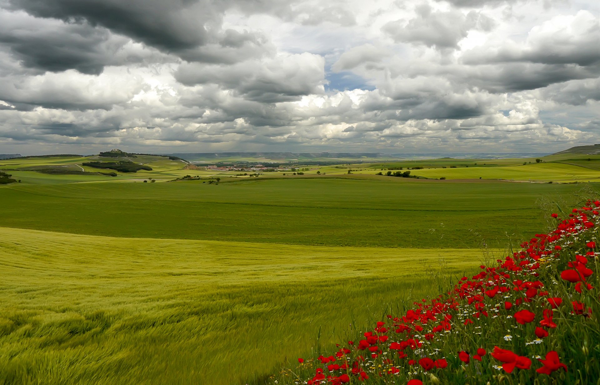 italien toskana himmel wolken hügel gras blumen bäume haus