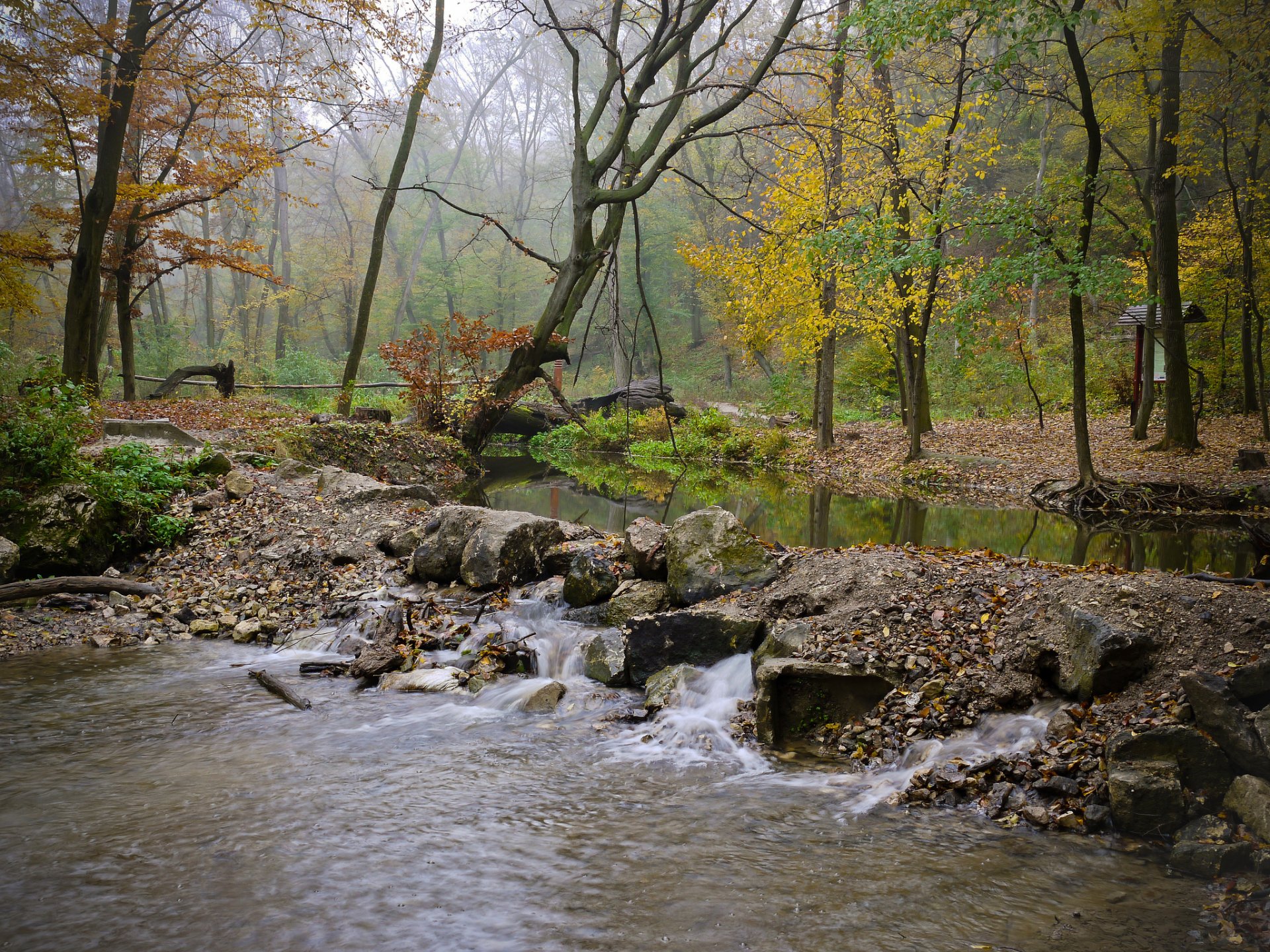 wald fluss strom steine nebel herbst