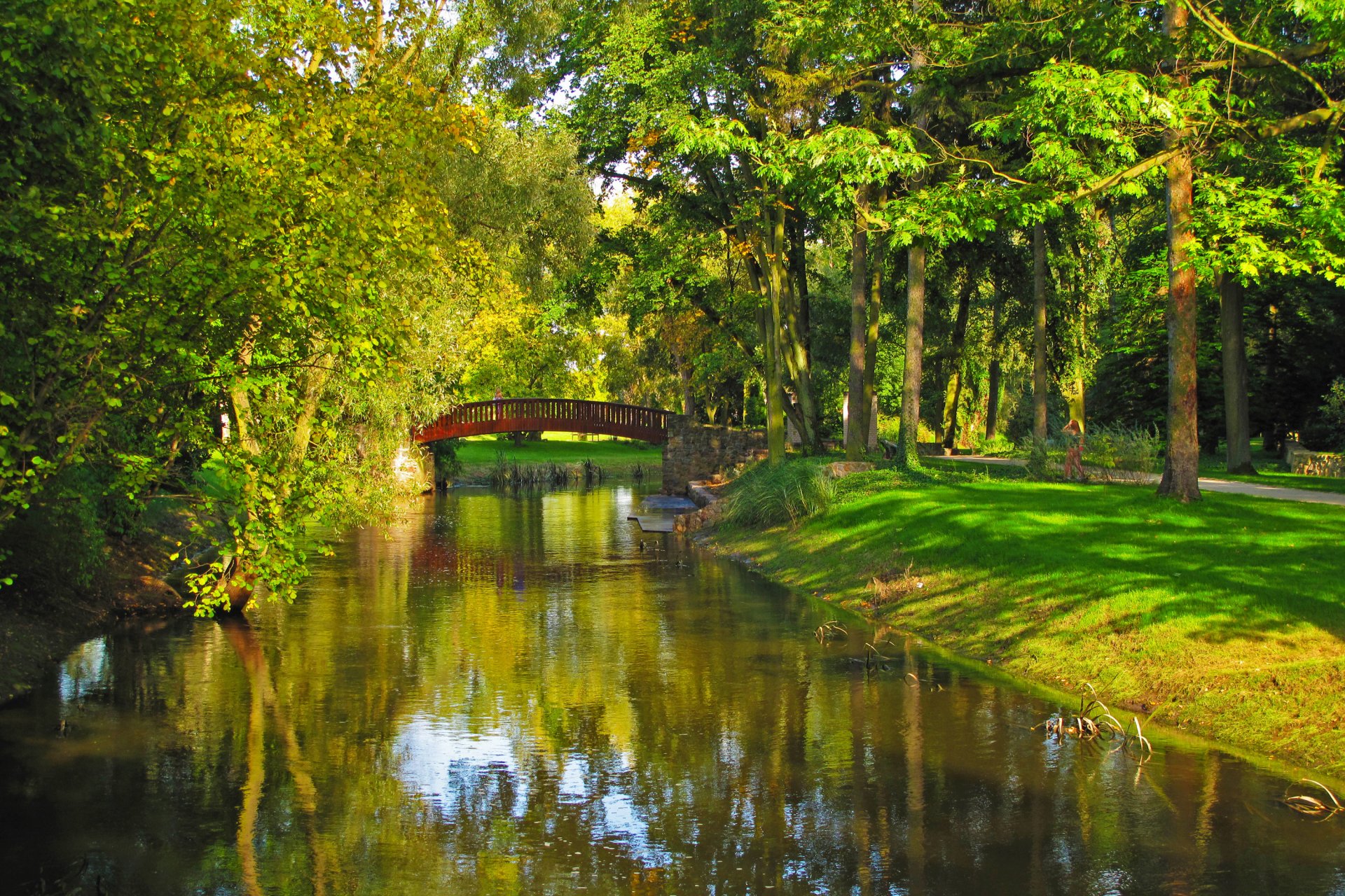 poland park river bridge sochaczew tree grass nature photo