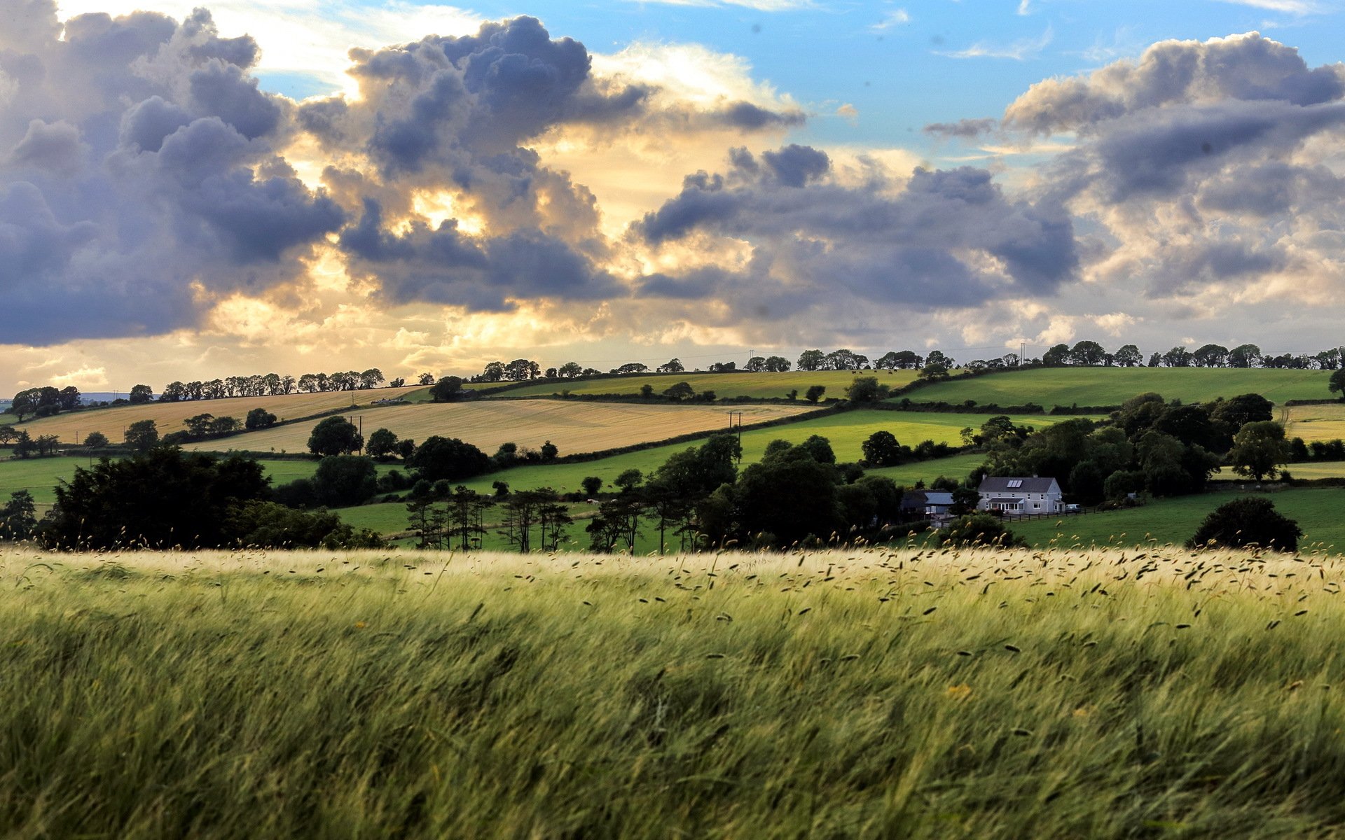 campo cielo paisaje verano