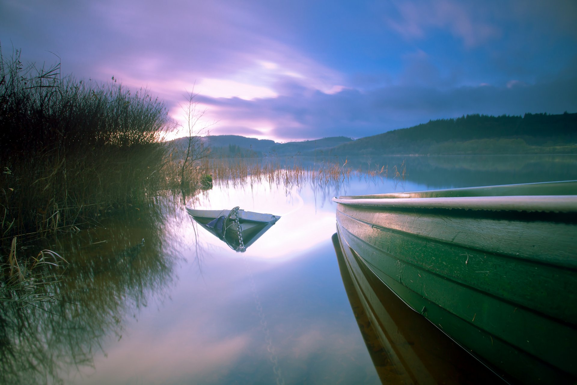 lake reed boats boat sunken evening sunset