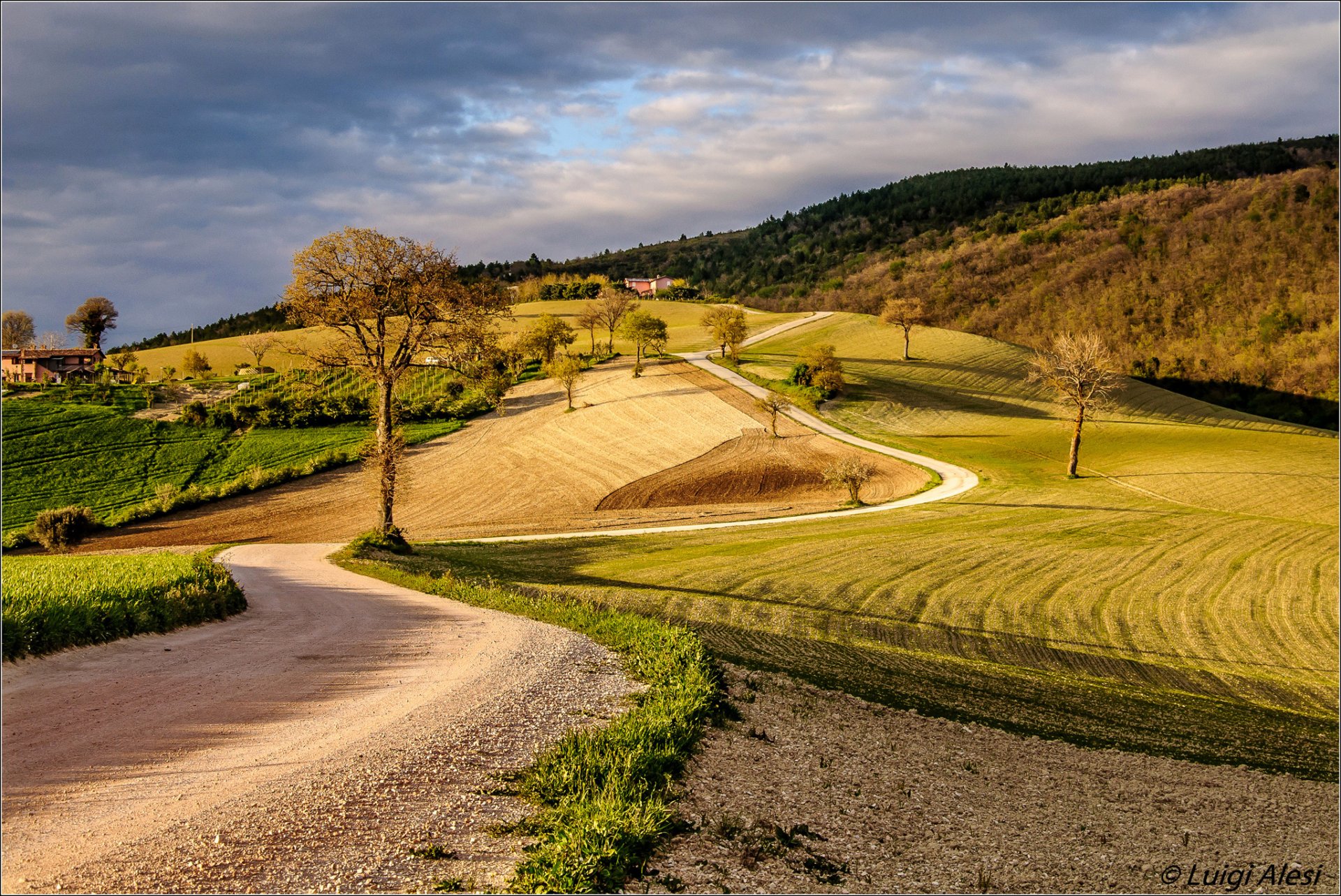 italy campania sky hills house road tree