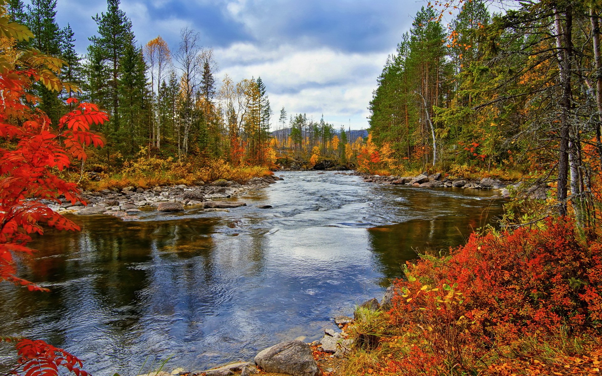 fiume autunno natura paesaggio