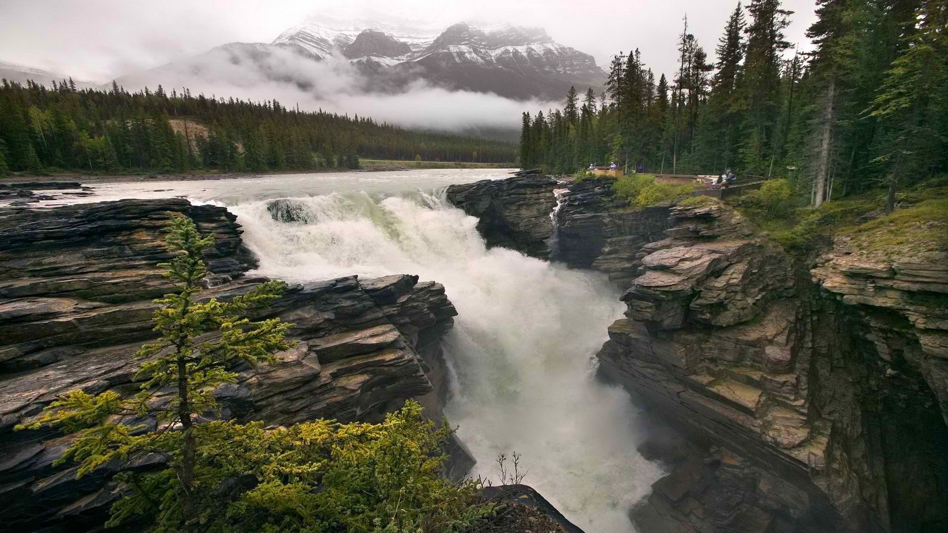 cielo nuvole montagna fiume rocce cascata alberi