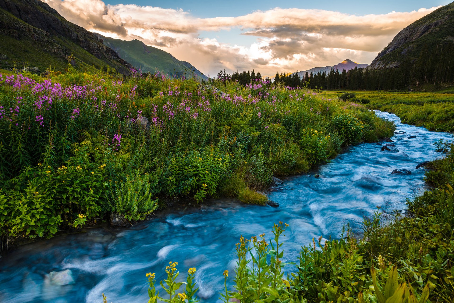 usa colorado fluss blumen berge sonnenuntergang sommer landschaft