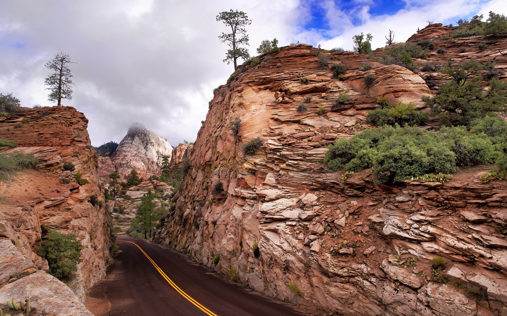 parc national de zion route montagnes