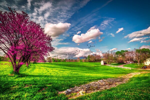 Nubes de primavera y cielo azul