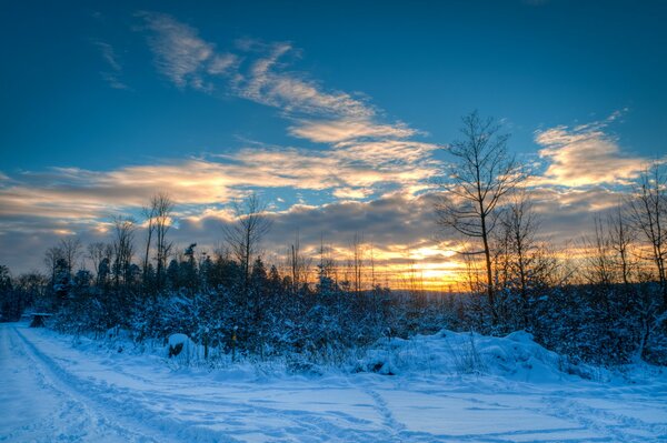 Schneewald bei Sonnenuntergang