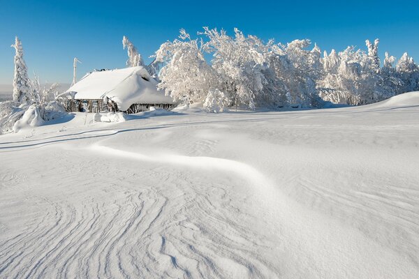 Winter landscape house and trees in the snow