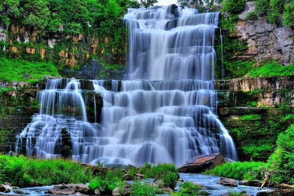 Rapides de la cascade sur les rochers avec de l herbe