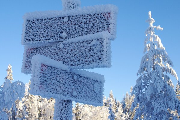 Segnaletica stradale innevata nella foresta