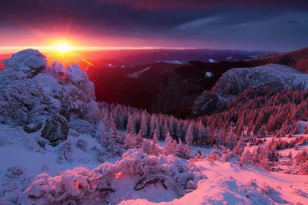 Lever de soleil serein dans la forêt d hiver