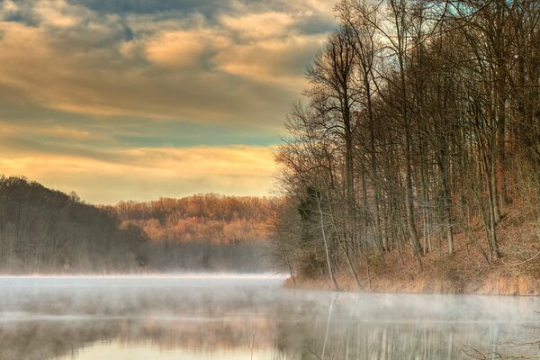 Nebligen See auf dem Hintergrund des Herbstwaldes