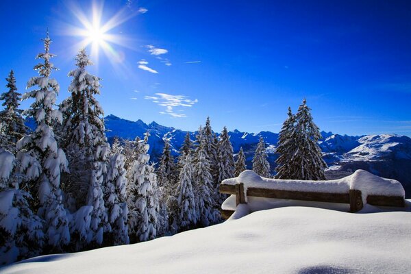 Brilliant snow on a sunny winter morning