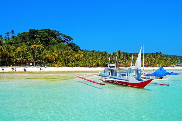 Boat in the sea near the shore with palm trees