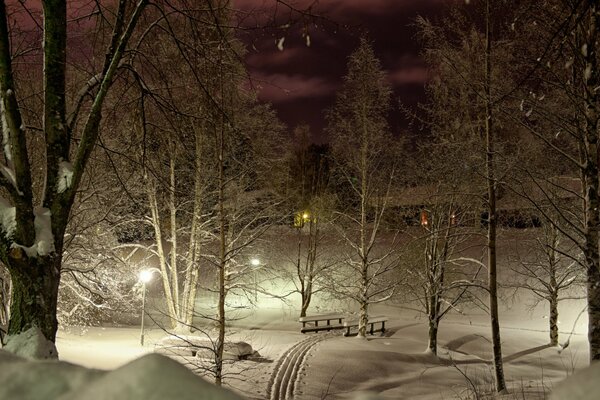 Nocny Park i narty oświetlają światła