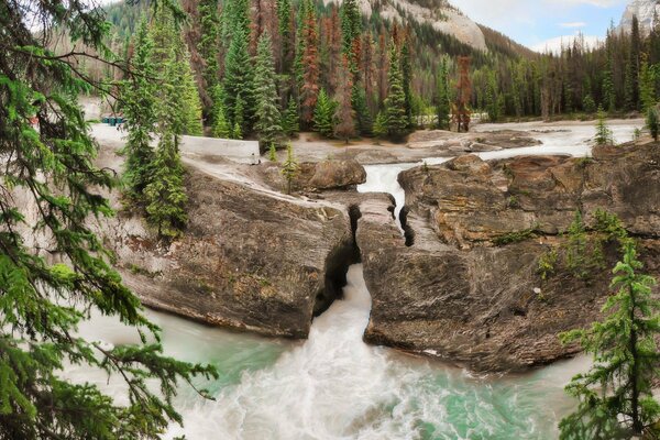 Río de montaña que fluye a través de las rocas