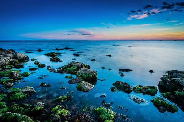 Piedras en el mar al atardecer