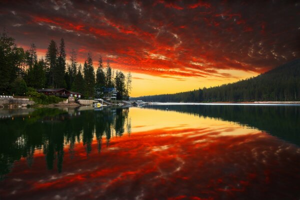 Reflection of the forest in the river. The most beautiful sunset. Unusual nature