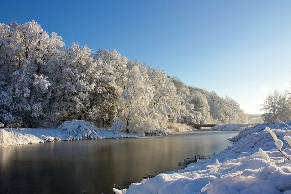 Gel, mais la rivière n est pas gelée. Beau paysage