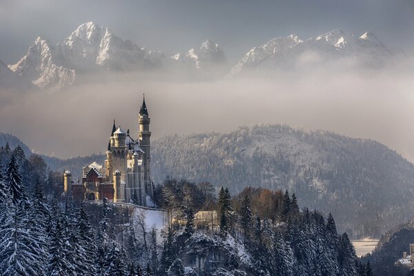 Castello di Neuschwanstein in Germania. Alberi innevati e montagne. Inverno in Baviera