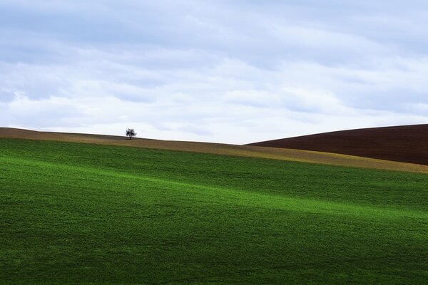 Campo verde coperto di erba bassa con vista sulla collina