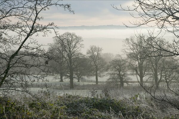 Paysage sur fond de champs dans le givre