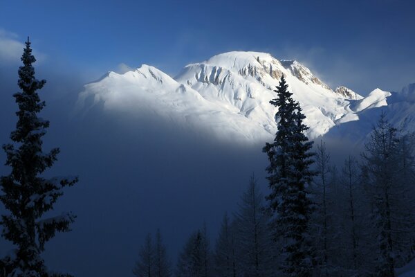 Vista delle montagne bianche stupore