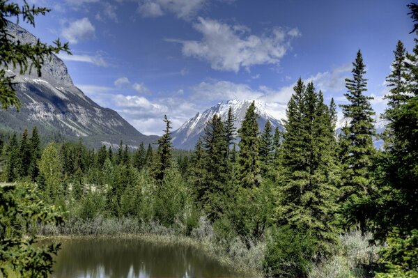 Wald und Berge rund um den See in Kanada