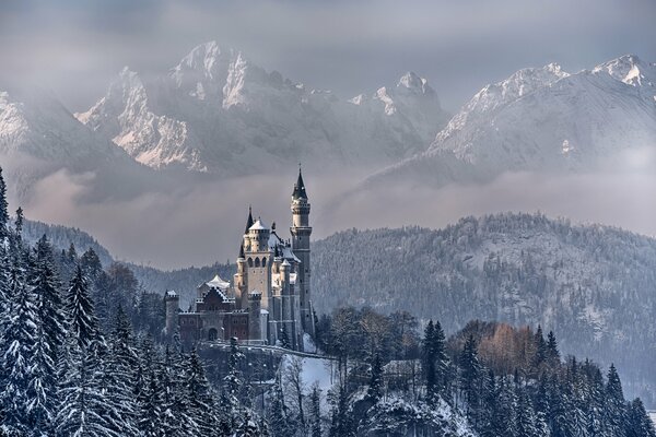 Castello di Neuschwanstein sotto la neve sullo sfondo delle montagne in Baviera