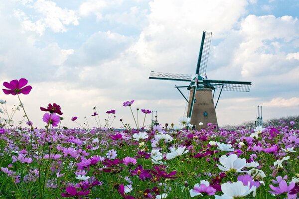 Mill on the background of the autumn sky in a field with bright colors