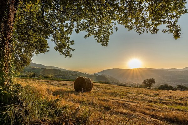 Alba nei campi d Italia