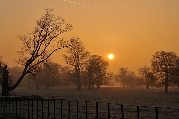 Winter sunset, fog in the field