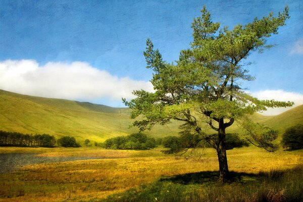 Paisaje de verano con un árbol