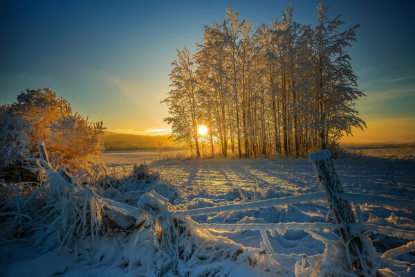 Snow drifts. A leaning fence