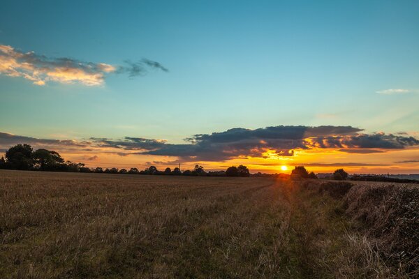 Coucher de soleil sur le terrain en été