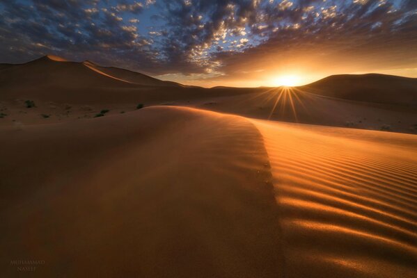 Desert. Dunes. Sky. The sun