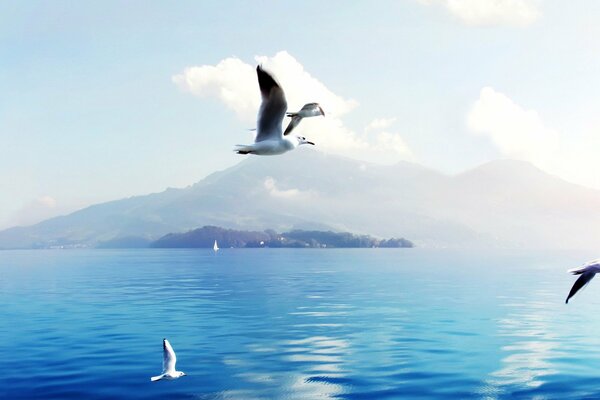 Gaviotas sobre el océano. Colinas y nubes en el horizonte