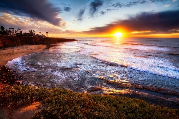 The coast with palm trees in San Diego. Sunset and sea