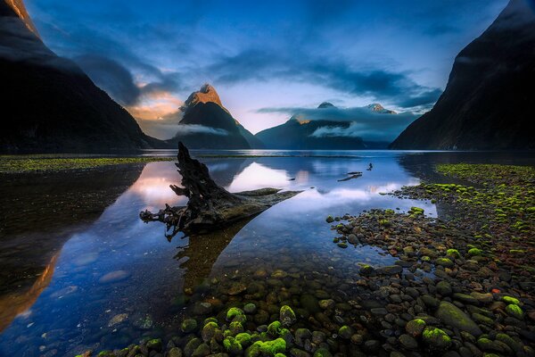 Paisaje del fiordo de nueva Zelanda en el parque