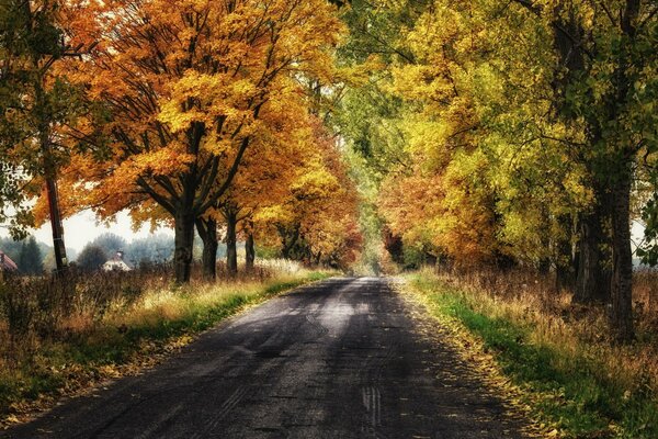 Landschaft der Herbststraße in hellen Farben