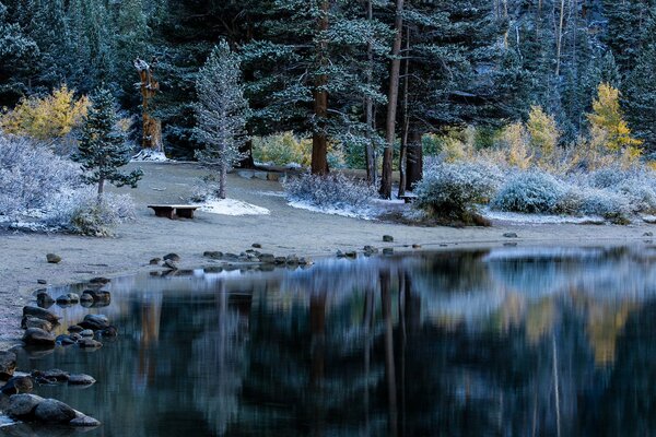 Bank am See im Herbstwald