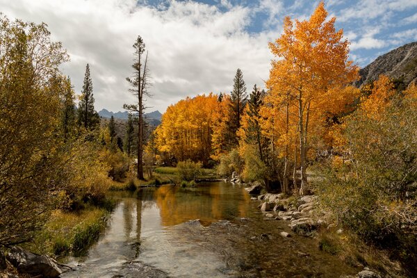 Arbres d automne près du lac Sabrina dans le Nevada