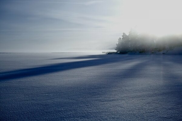 Champ de paysage brumeux d hiver