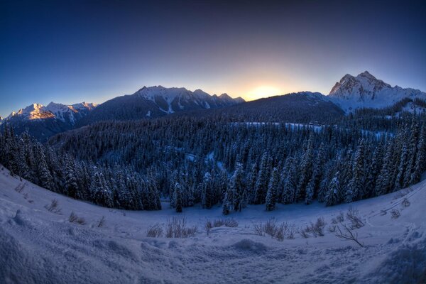 Forêt d hiver rencontre le lever du soleil