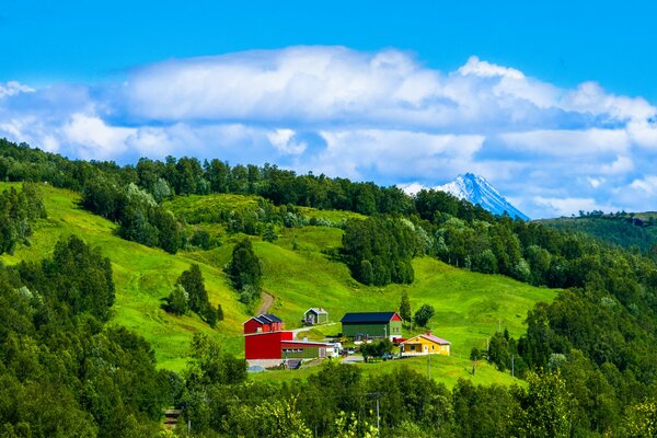 Norwegisches Dorf am Hang mit Wald