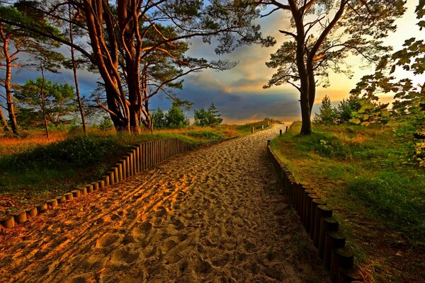 Camino de arena a la playa al amanecer