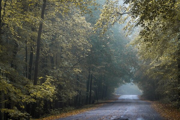 Goldene Straße im Herbst