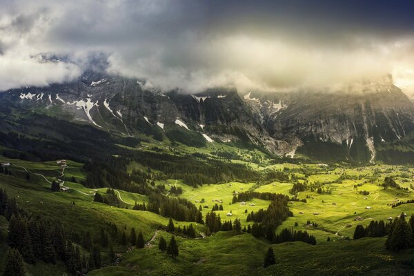 Vallée verte dans le canton de Berne en Suisse